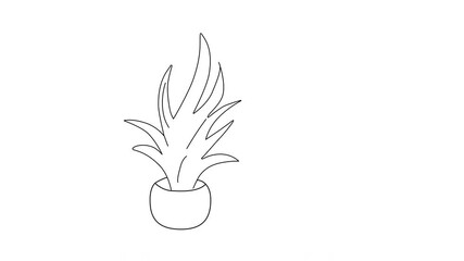 Wall Mural - Self drawing animation of potted plant. Indoor plants, house plants design. White background.