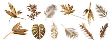 Tropical Leaves In Gold Color On White Space Background.Abstract Monstera Leaf Decoration Design.clipping Path