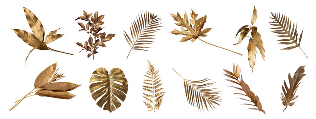 Tropical leaves in gold color on white space background.Abstract monstera leaf decoration design.clipping path