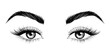 Eyes with eyebrows and long eyelashes. Sexy look. Fashion illustration.  Vector EPS 10.