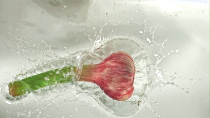 Poster - Super slow motion garlic falls into the ode with splashes on a white background. Filmed on a high-speed camera at 1000 fps. High quality FullHD footage