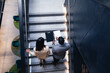 © Wavebreak Media - Diverse businessman and businesswoman discussing together standing on the stairs at office