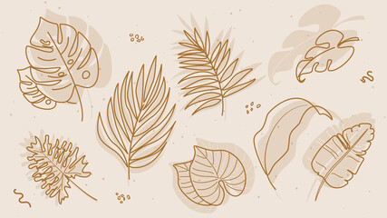 Vector set of tropical hand drawn plants elements for social media and web / logo design.