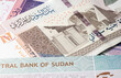 Close up to hundred pounds of the Republic of Sudan. Paper banknotes of the African sudanese country. Detailed capture of the front art design. Detailed money background wallpaper. Currency bank note