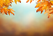 An Autumn Nature, Fall Background Of Blurred Foliage And Tree Leaves With Blue Sky In An Autumn Landscape That Could Be Used For Thanksgiving.