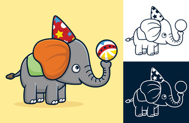 Canvas Print - Cute elephant wearing cone hat while playing ball at circus show. Vector cartoon illustration in flat icon style