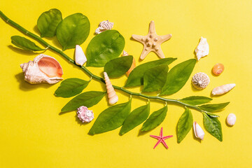 Summer vacation concept. Assorted seashells, fresh green leaves branch on a bright yellow background