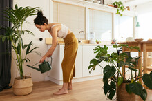 Young Housewife Irrigating Plant In Kitchen