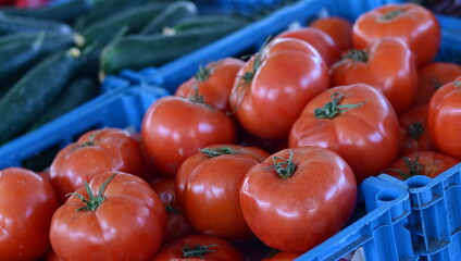 Wall Mural - Red tomatoes tomato on the market. Group of tomatoes. 