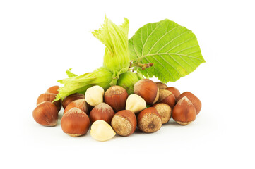 Wall Mural - Hazelnuts with green branch isolated on white background