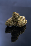 Fototapeta  - Cannabis Flower Macro - Strain: Jet Fuel Gelato