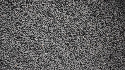 Wall Mural - Raw whole dried black sesame seeds