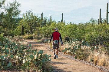 a person hiking at saguaro national park, with scenic views of saguaro cacti, arizona, usa.