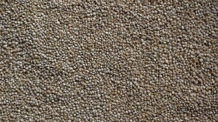 Wall Mural - Raw whole dried Quinoa seeds