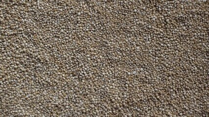 Wall Mural - Raw whole dried Quinoa seeds