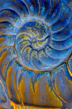 Closeup Macro Photograph Of Patterns In The Imprint Of A Nautilus Shell In A Piece Of Ceramic
