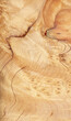 © Wenhai Tang/Stocksy - Macro photo of wood cross section Wood grain texture background