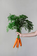 © Viktor Solomin/Stocksy - Raw carrot in hand