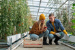 © Milles Studio/Stocksy - Young farmers using smartphone in greenhouse