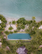 Beach Hotel With Swimming Pool, Palm Trees And Tropical Sea