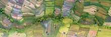 Indonesia Bali Rice Terraces Aerial From Above
