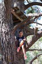 Girl Sitting On A Big Tree