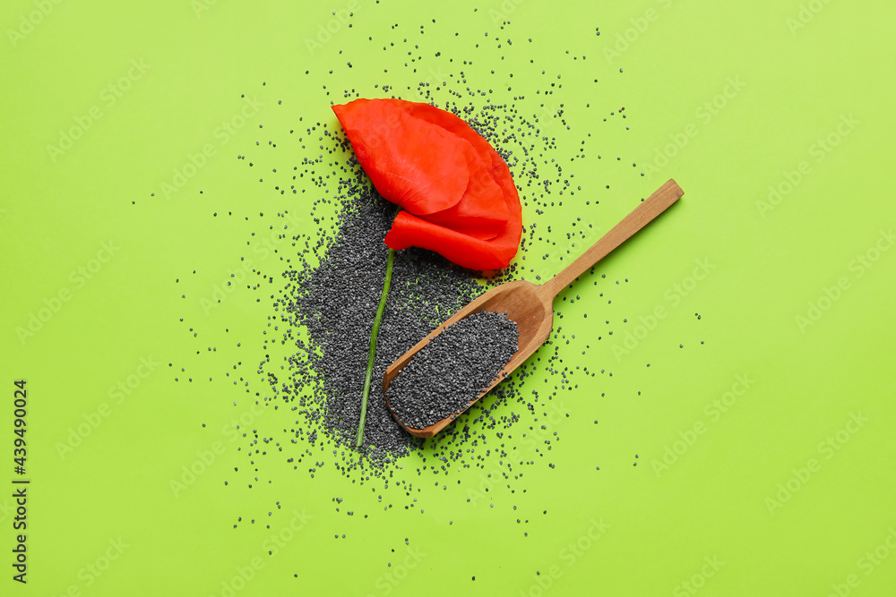 Scoop with poppy seeds and flower on color background