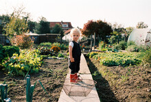 Toddler Standing In Vegetable Garden