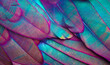 © Visual Scientist/Stocksy - Priceless armor 02