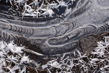 Macro Of Ice Patterns In A Small Creek, Black-and-white