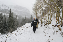 Man And Woman Hiking In Rocky Mountain National Park On A Snowy Winter Day