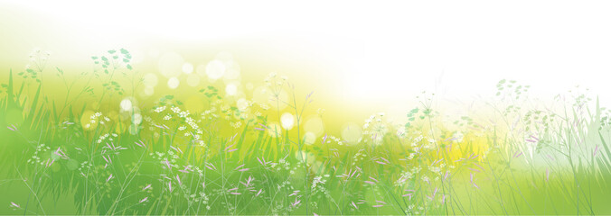 Wall Mural - vector green, summer, nature background.
