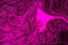 Pink And Black Abstract Liquid Background 