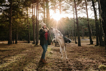 Woman  Playing With Wolf Dog In The Forest