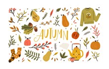 Autumn Bundle Of Cute And Cozy Design Elements. Set Of Fall Twigs With Leaves, Foliage, Berries, Pumpkins, Sweater, Socks And Tea Cup. Colored Flat Vector Illustration Isolated On White Background