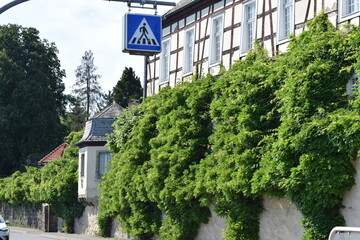 Wall Mural - bewachsenes Fachwerkhaus am Rhein