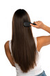 © vladimirfloyd - rear view of a young woman brushing her straight long hair