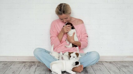 Poster - Owner with group of puppies at home