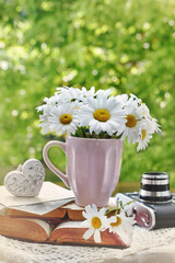 Wall Mural - bunch of marguerite flowers on opened vintage books and camera in the garden