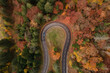 © Anna Berkut/Stocksy - car driving on asphalt road in autumn forest, road trip in fall season