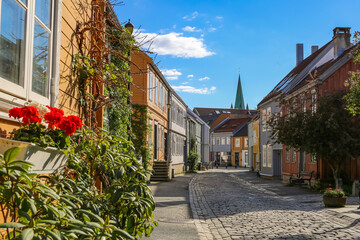 Poster - bakklandet, trondheim