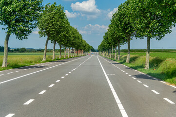 French country road with avenue trees