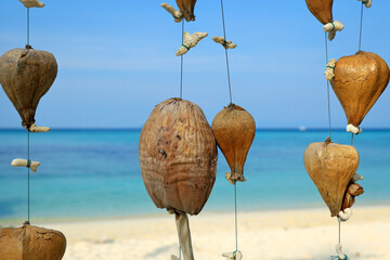 Canvas Print - natural decoration on white sand beach