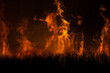 © Chalit Saphaphak/Stocksy - Pre-harvest burning sugarcane