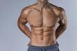 © blackday - Muscular male torso against gray background