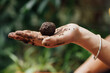 © Blue Collectors/Stocksy - organic seed bombs