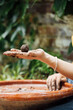 © Blue Collectors/Stocksy - organic seed bombs