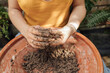 © Blue Collectors/Stocksy - organic seed bombs