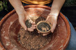 © Blue Collectors/Stocksy - organic seed bombs