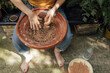 © Blue Collectors/Stocksy - organic seed bombs